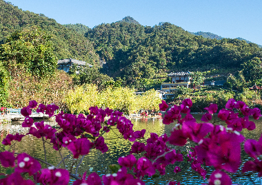 春風拂面桃花開 | 春天在北(běi)溪文苑相遇！