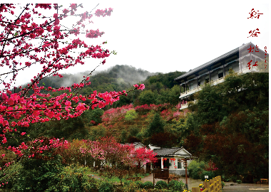 北(běi)溪十二景之溪谷桃紅